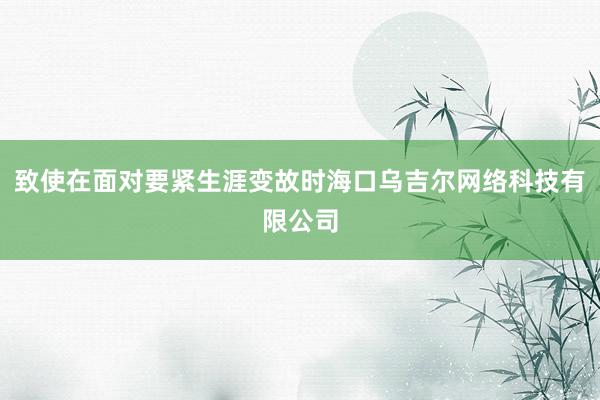 致使在面对要紧生涯变故时海口乌吉尔网络科技有限公司