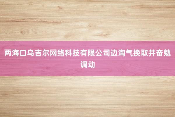 两海口乌吉尔网络科技有限公司边淘气换取并奋勉调动