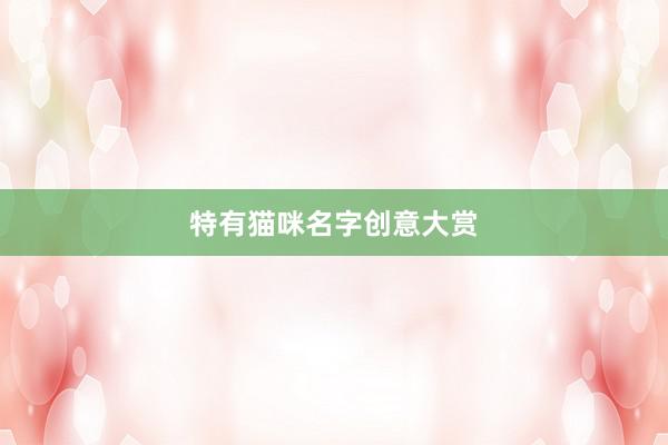 特有猫咪名字创意大赏