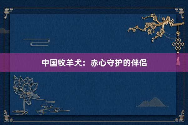 中国牧羊犬：赤心守护的伴侣